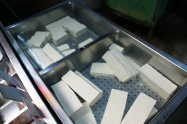 �T���l�C��