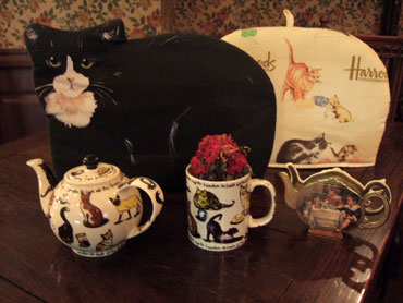 �T���l�C��