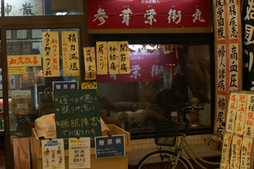 �T���l�C��